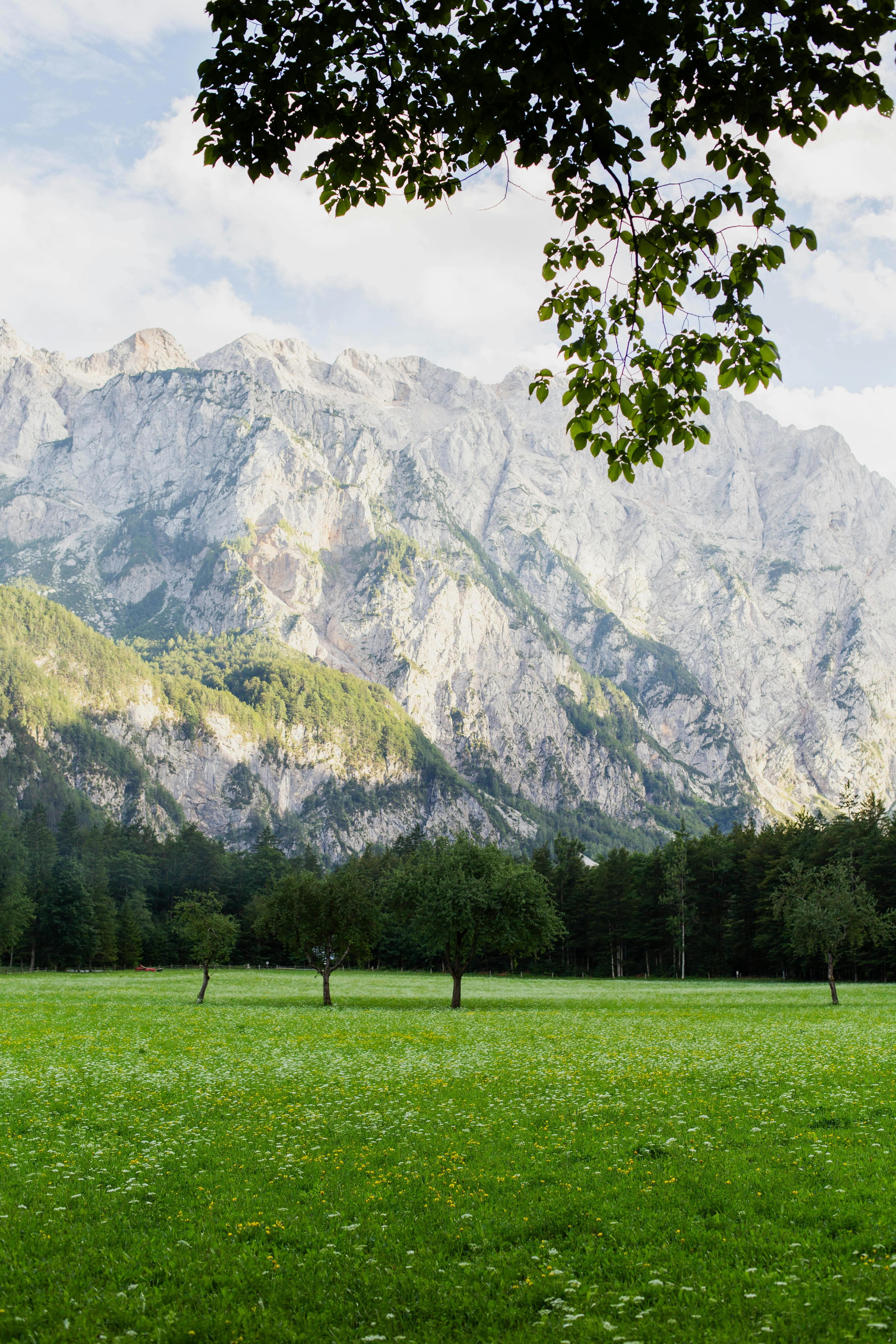 Sunrise Hikes Worth the Early Alarm