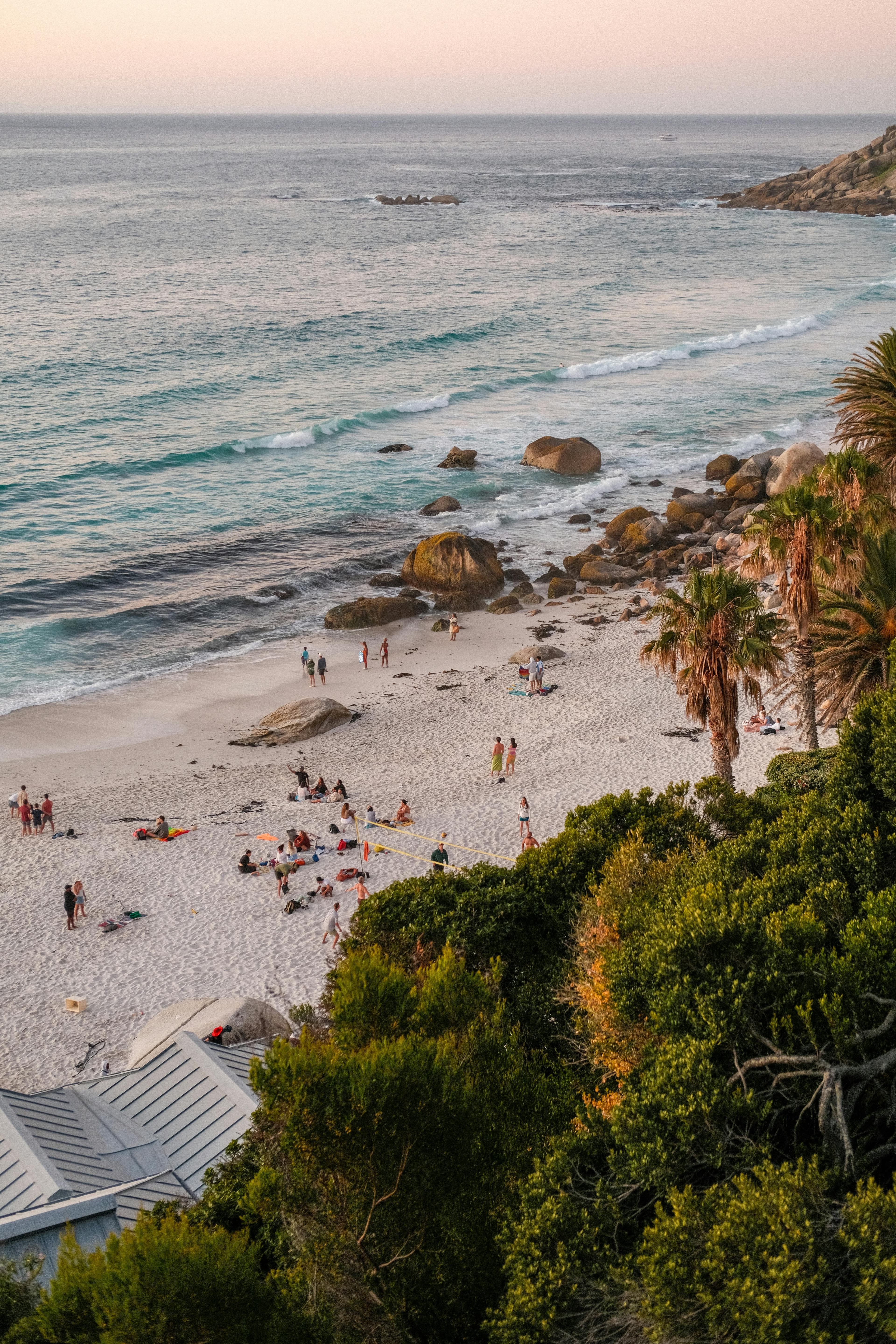 Traveling with Pets: A Cabin Renter's Guide