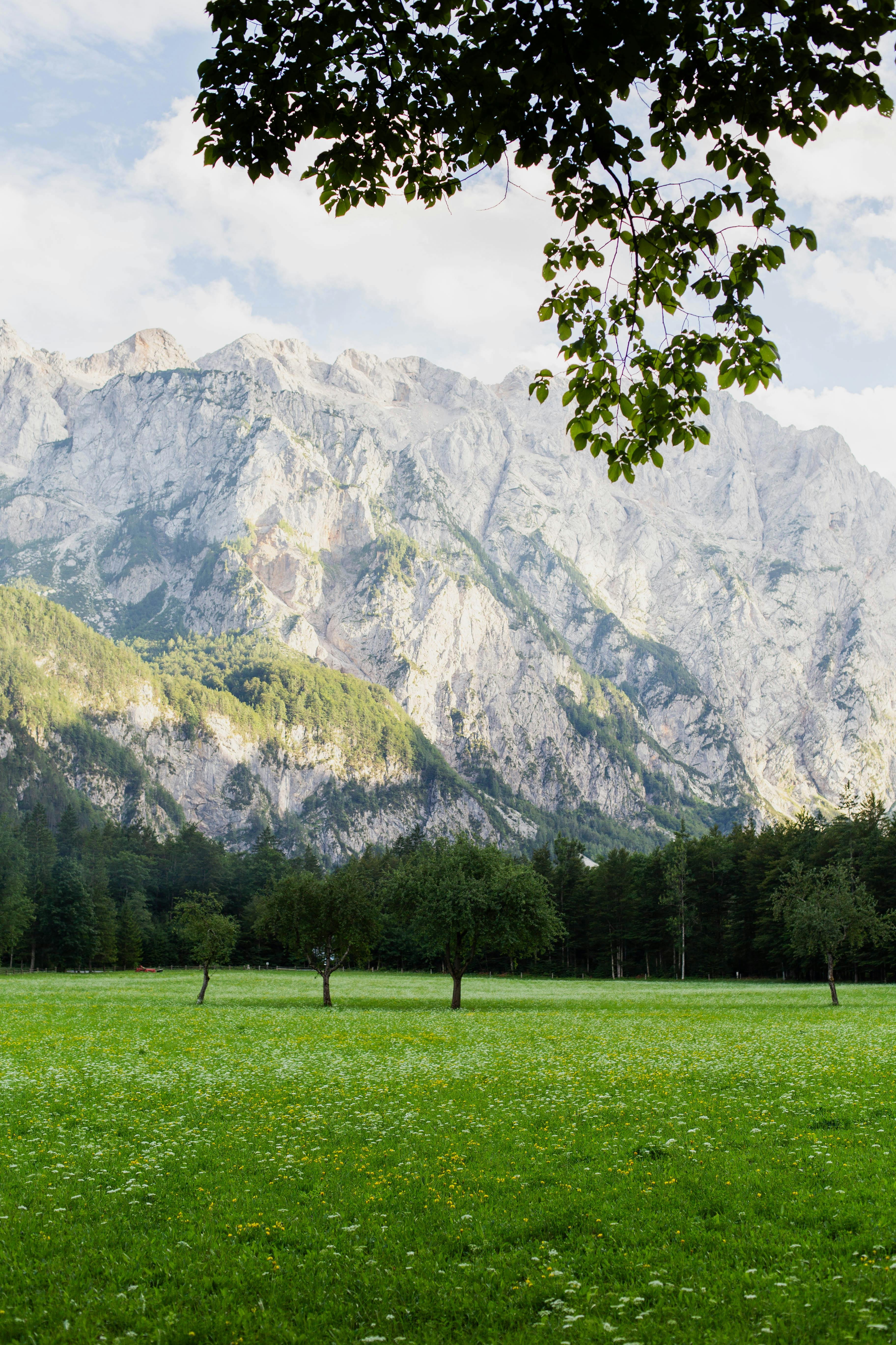 Sunrise Hikes Worth the Early Alarm