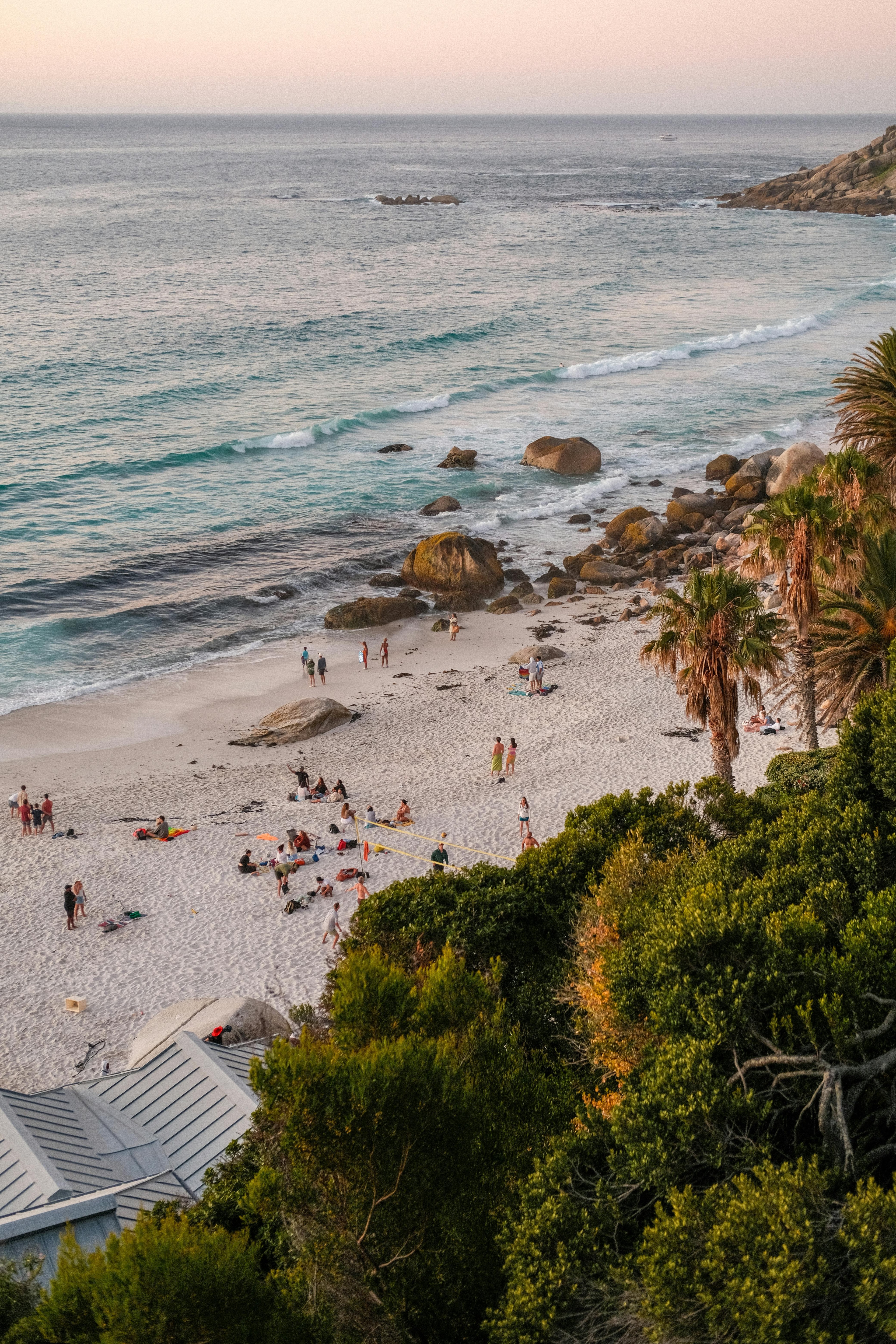 Traveling with Pets: A Cabin Renter's Guide